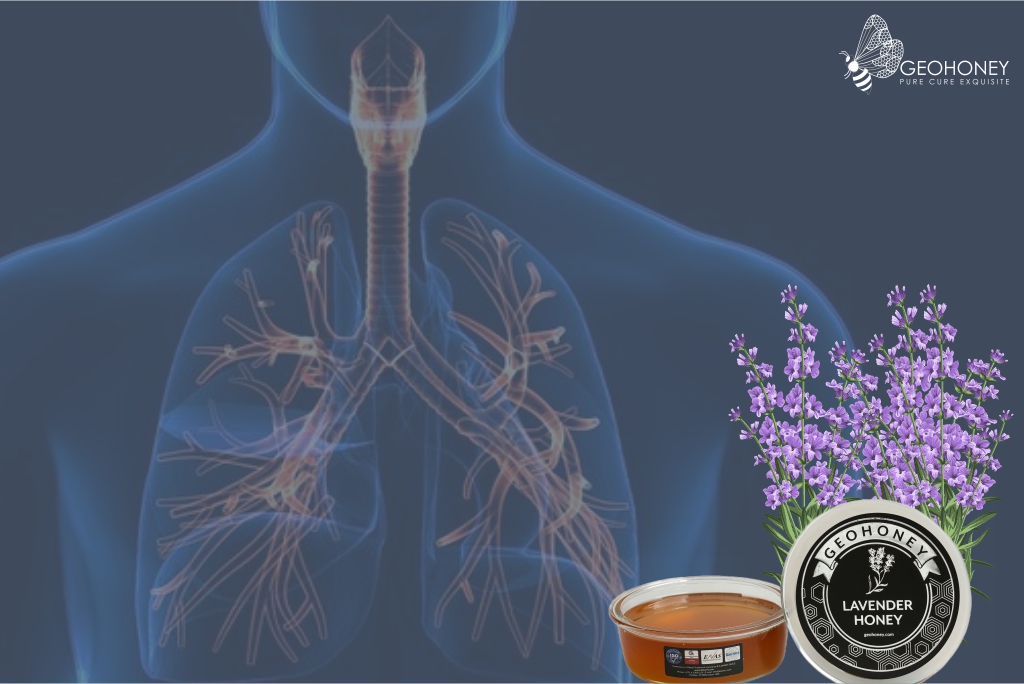 Healing benefits of lavender honey in curing respiratory problems